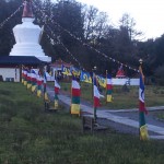 I stayed in the campervan and walked past the prayer flags and the stupa every morning to go to classes in the temple.